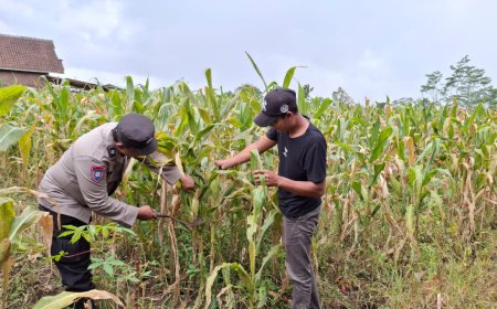 Polres Malang Perluas Pendampingan Sektor Pangan untuk Perkuat Kemandirian Masyarakat