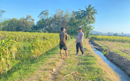Polres Malang Kawal Pangan dari Lahan hingga Distribusi Hasil Tani