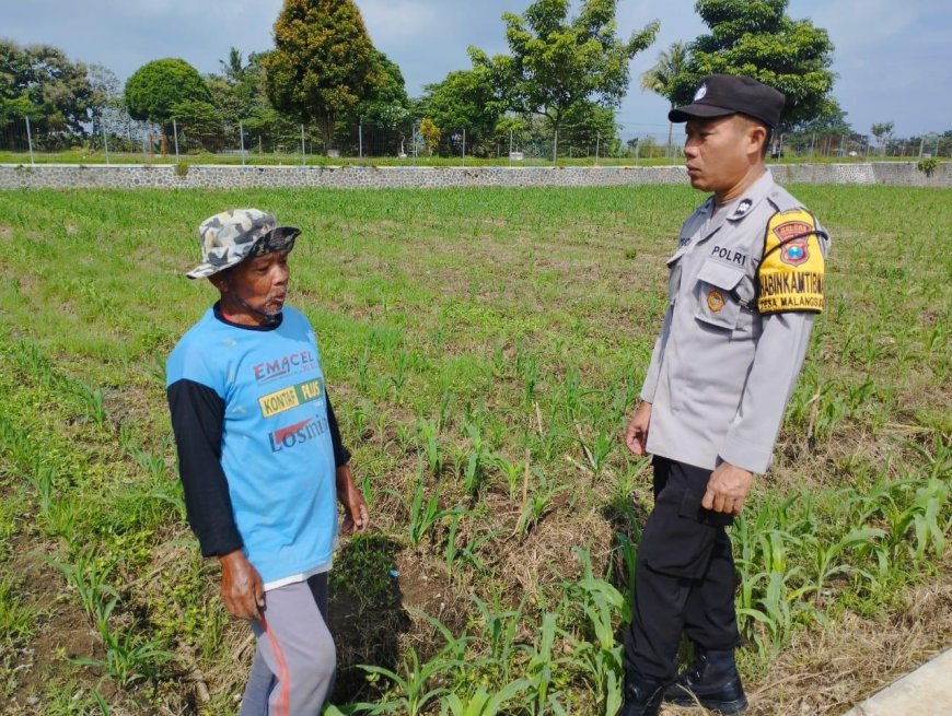Polisi di Malang Turun ke Sawah, Bantu Warga Jaga Ketahanan Pangan