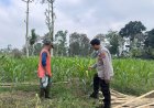 Polres Malang Kawal Upaya Menjaga Ketersediaan Pangan di Daerah