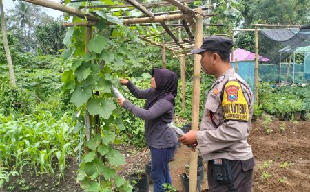 Polisi Ikut Pantau Jalur Hasil Panen, Distribusi Pangan Jadi Perhatian