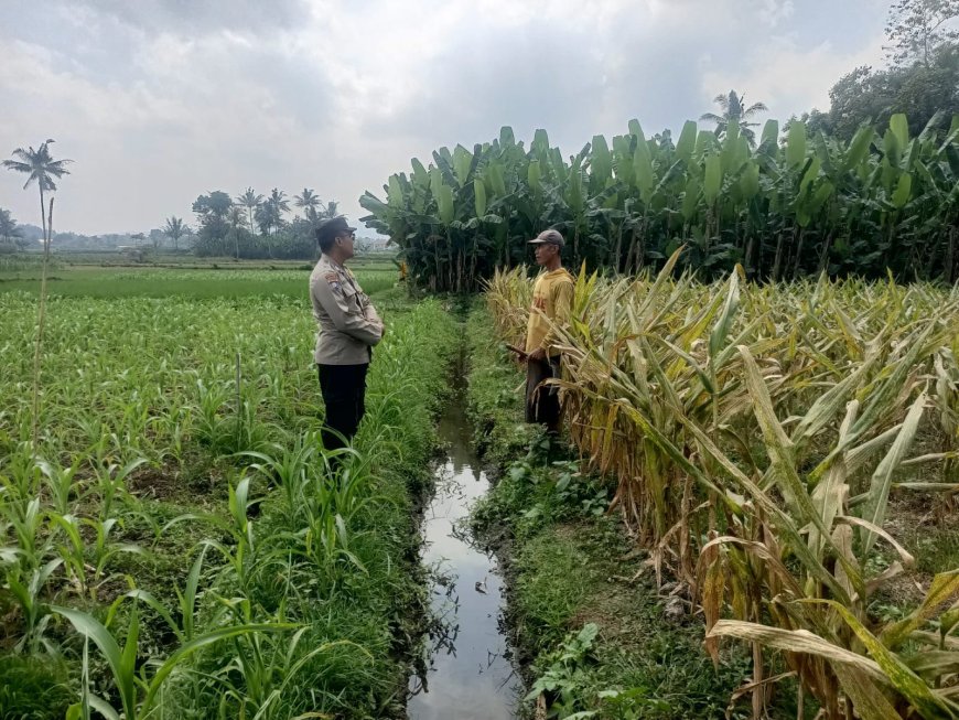 Polisi Dampingi Petani Kelola Lahan, Polres Malang Dukung Asta Cita